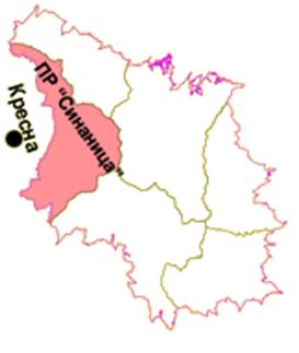 Parkov rayon sinanitsa