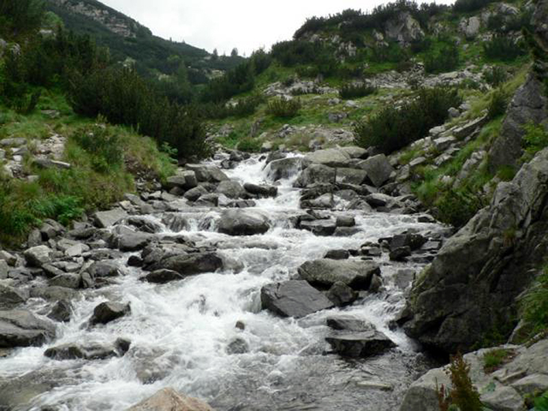reka demyanitsa