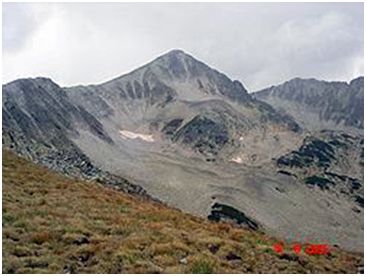 maluk polejan