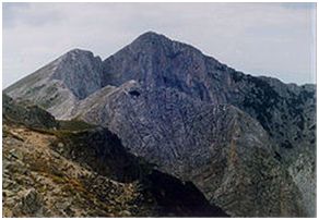 sinanica